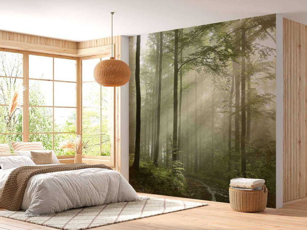 Foresta verde nella nebbia