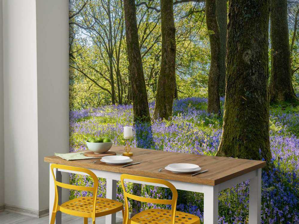 Panorama primaverile in un bosco