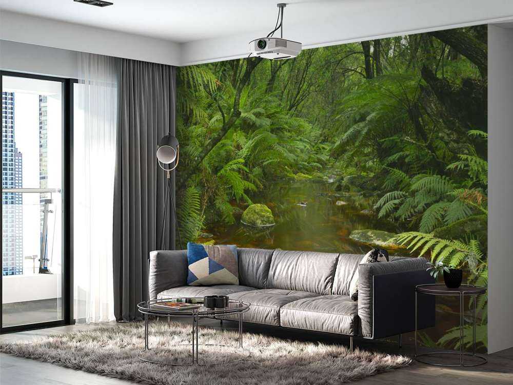 Fiume nella foresta pluviale