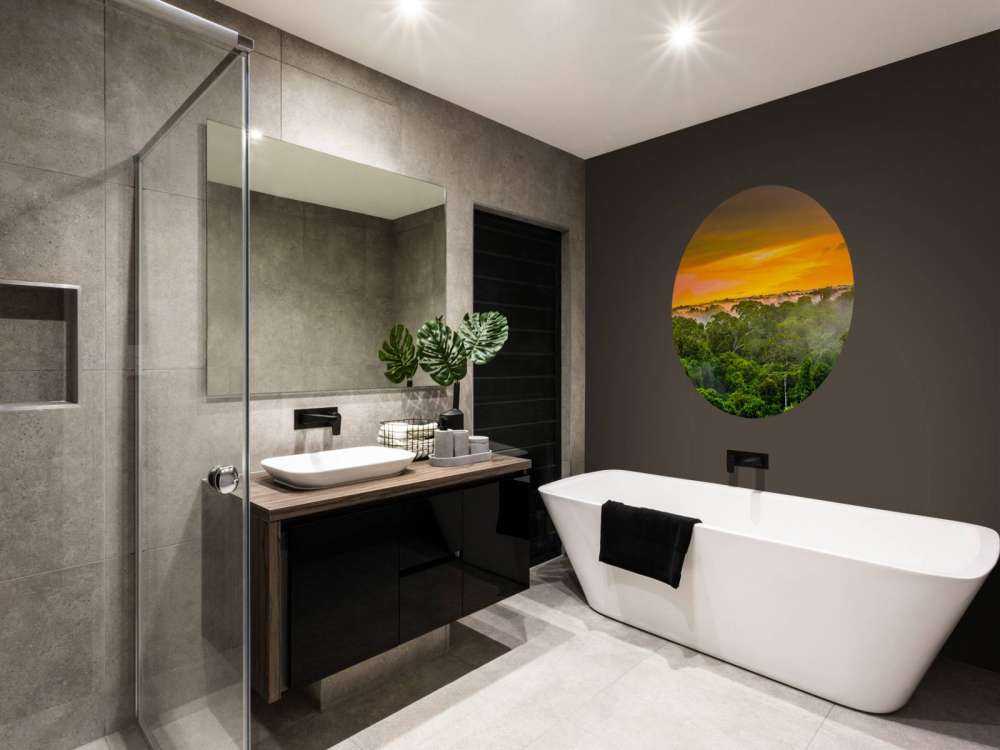 Foresta pluviale in Brasile 