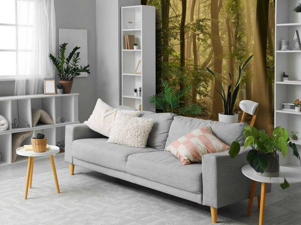 Vecchia foresta con alari