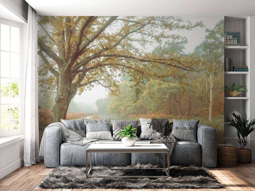 Lago nella foresta autunnale