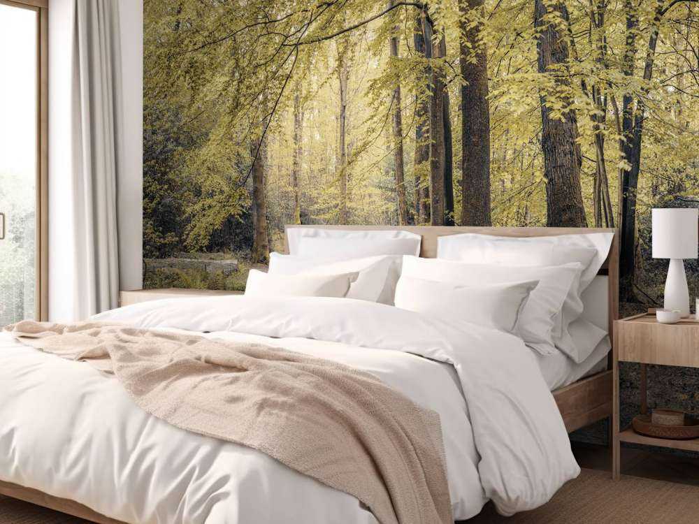 Sentiero nel verde della foresta