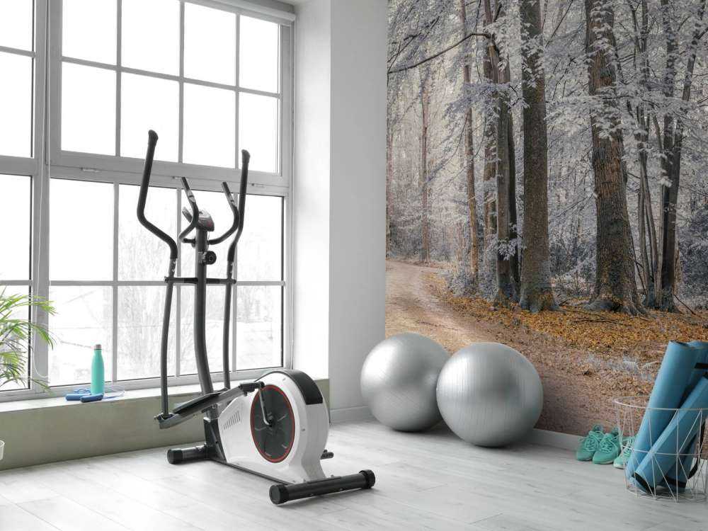 Alberi con foglie bianche