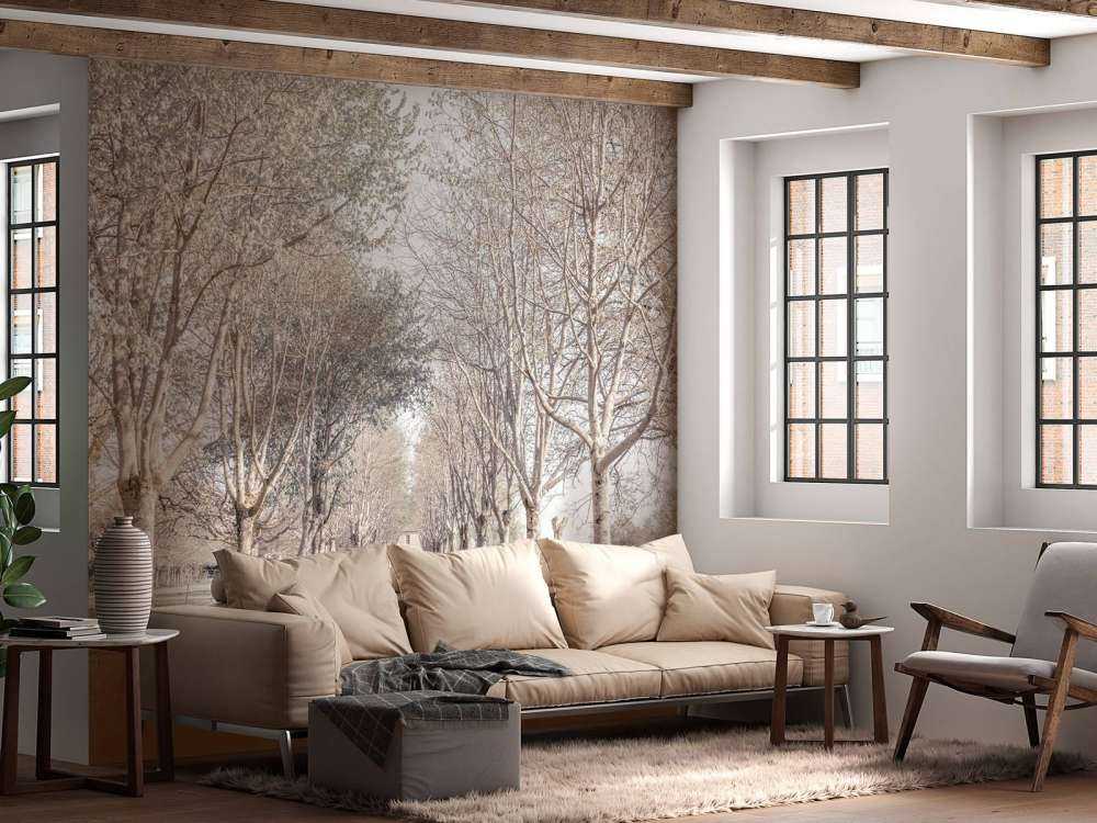 Sentiero tra gli alberi