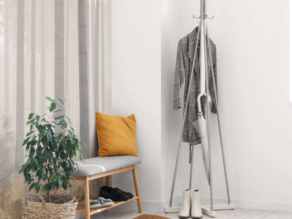 Foresta misteriosa e nebbiosa