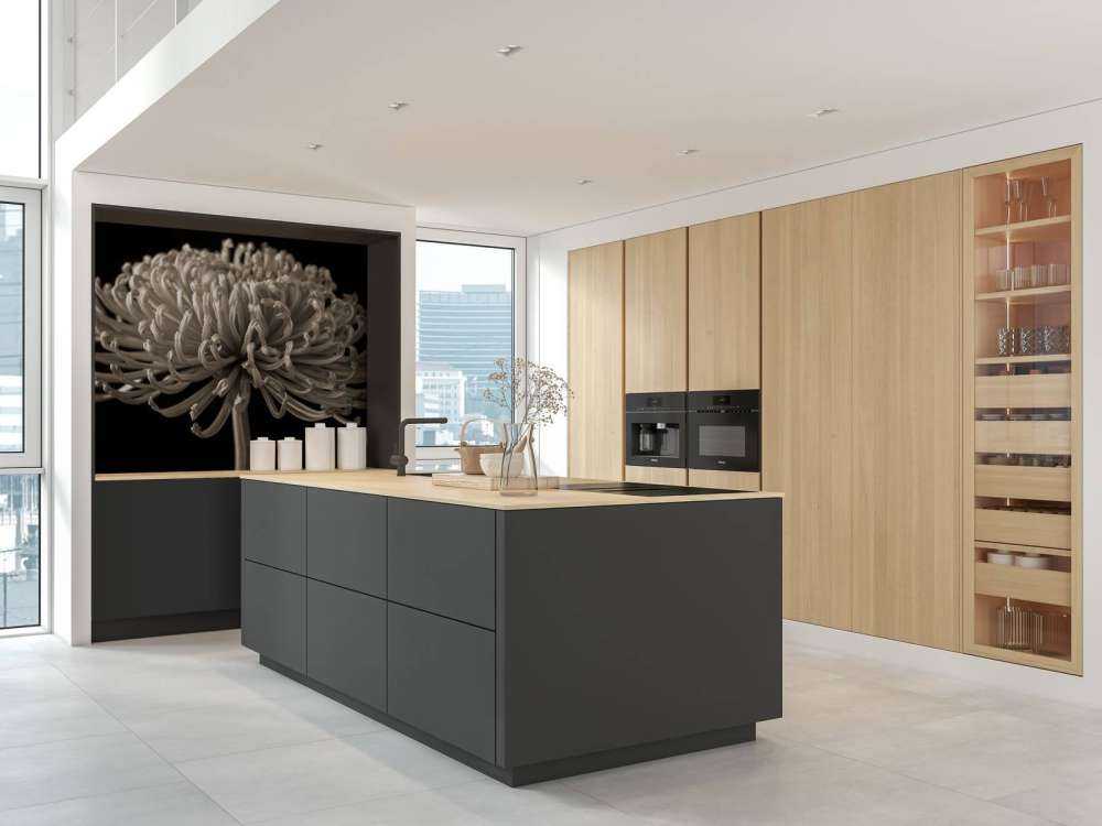 Grande fiore di cosmo