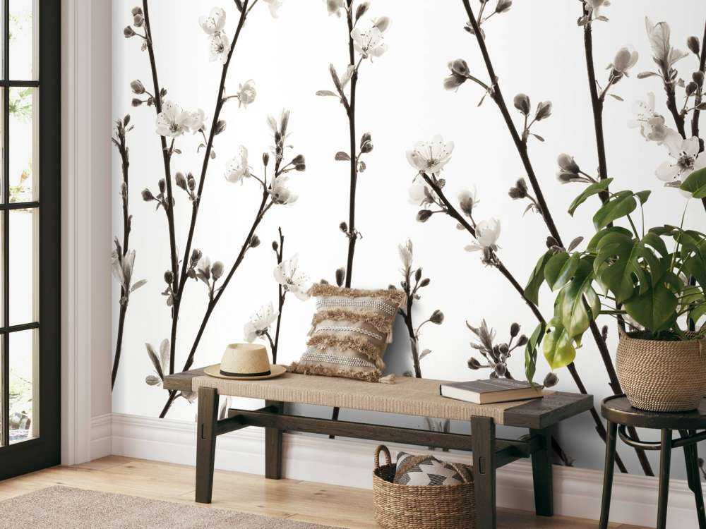 Rami di ciliegio in fiore