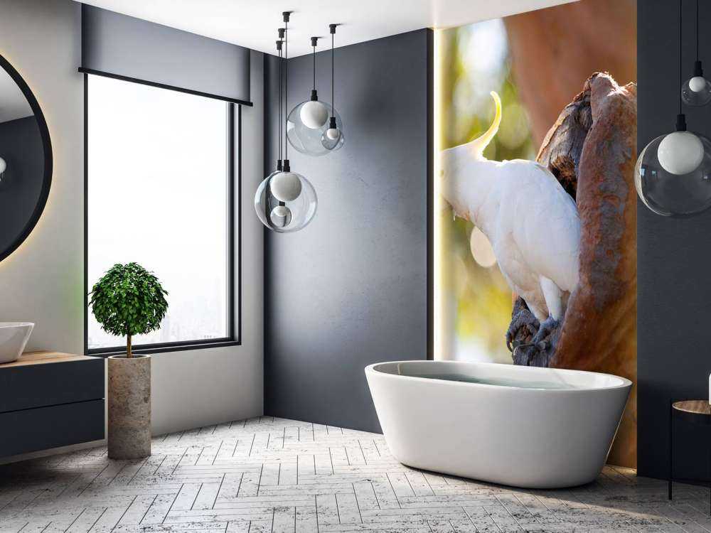 Cacatua in cavità dell'albero