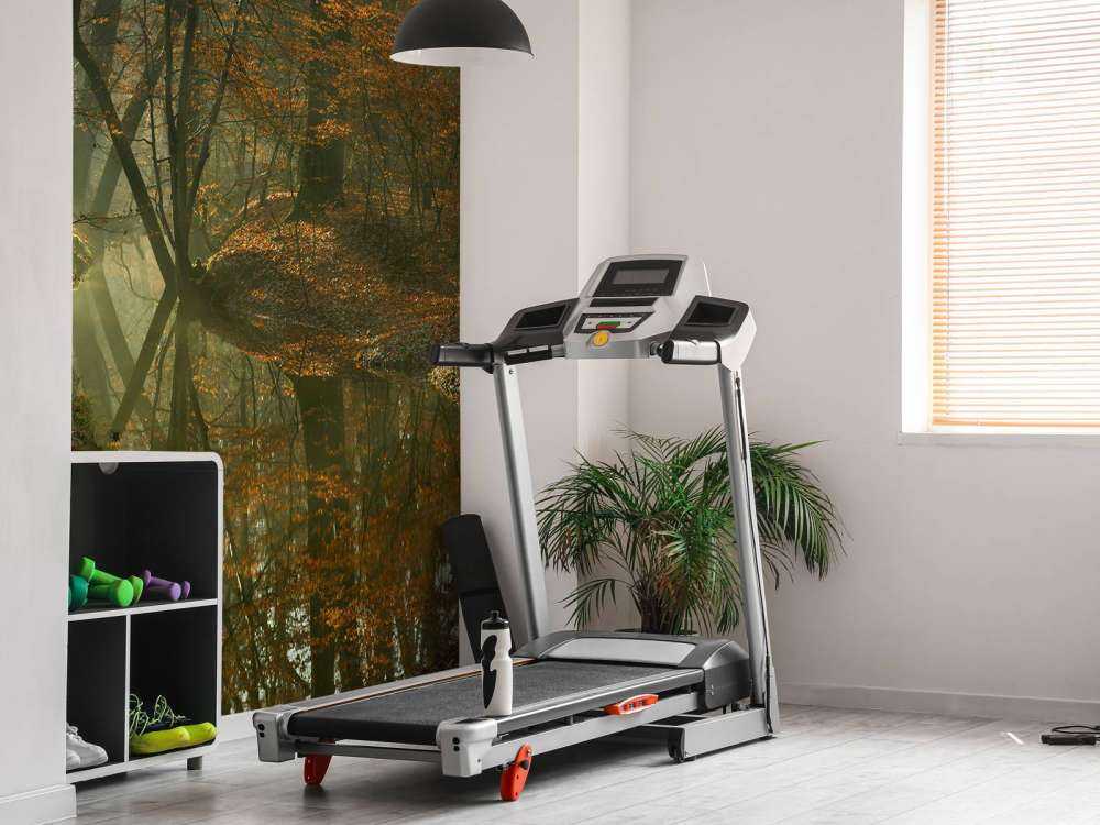 Fiume attraverso la foresta