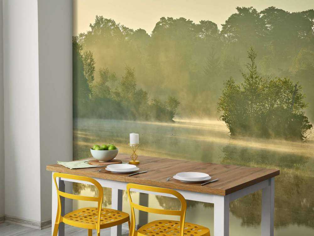 Nebulosa sopra un lago forestale