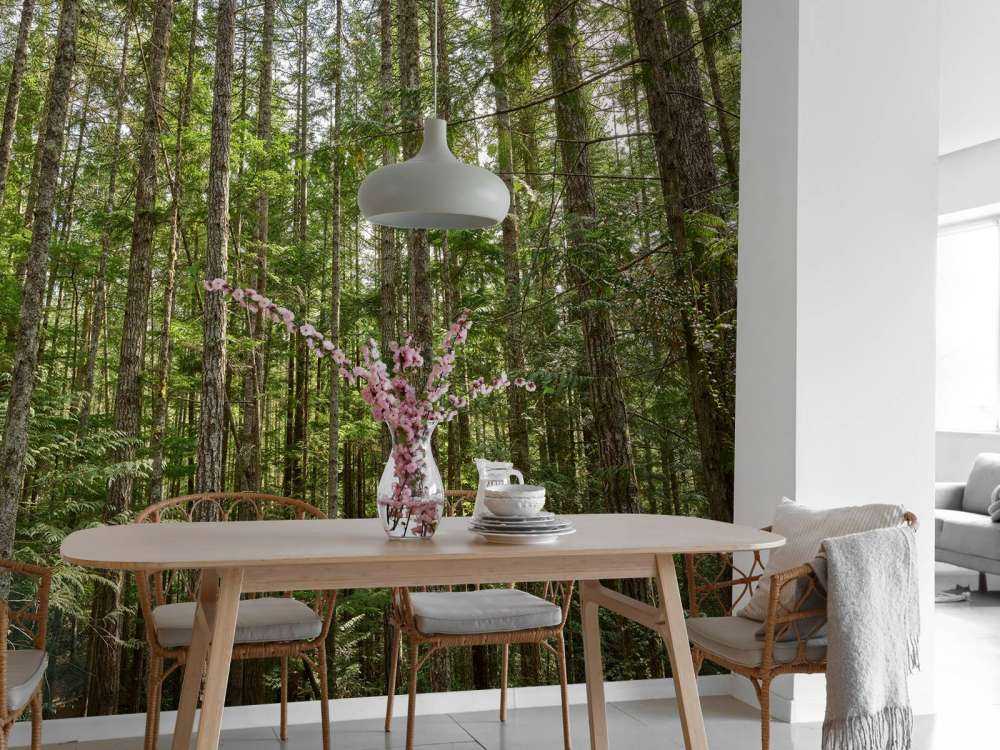 Alberi sottili nella foresta