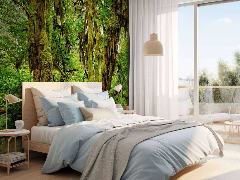 Vecchia foresta selvaggia