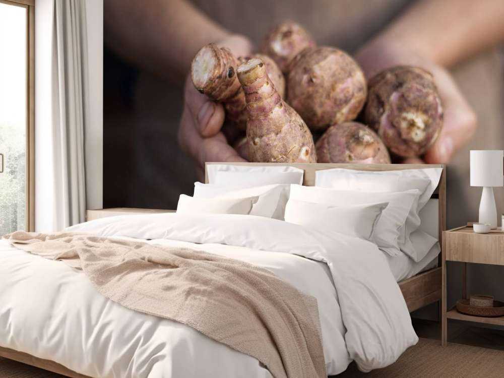 Prodotti della terra