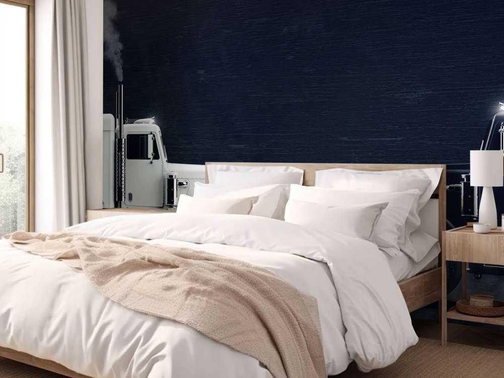 Camion bianco e nero