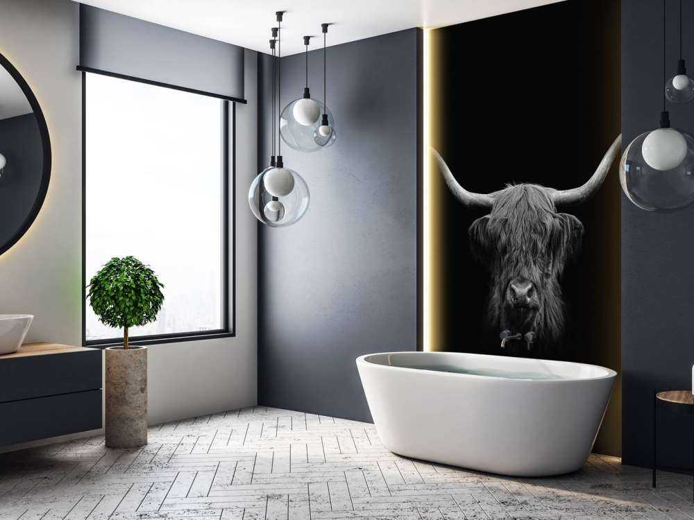 Highlander scozzese in bianco e nero