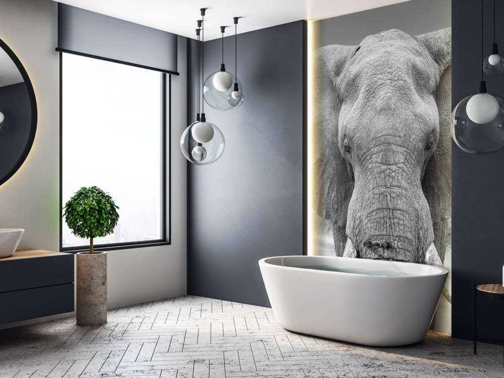 Elefante bianco e nero