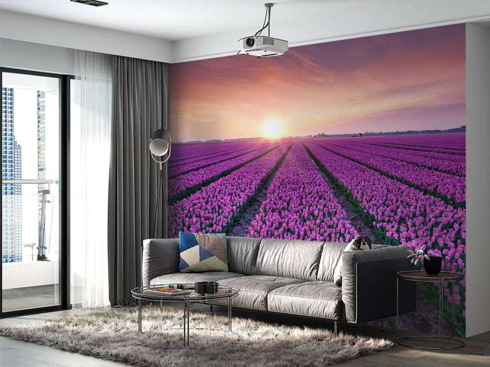 Campo di tulipani all'alba