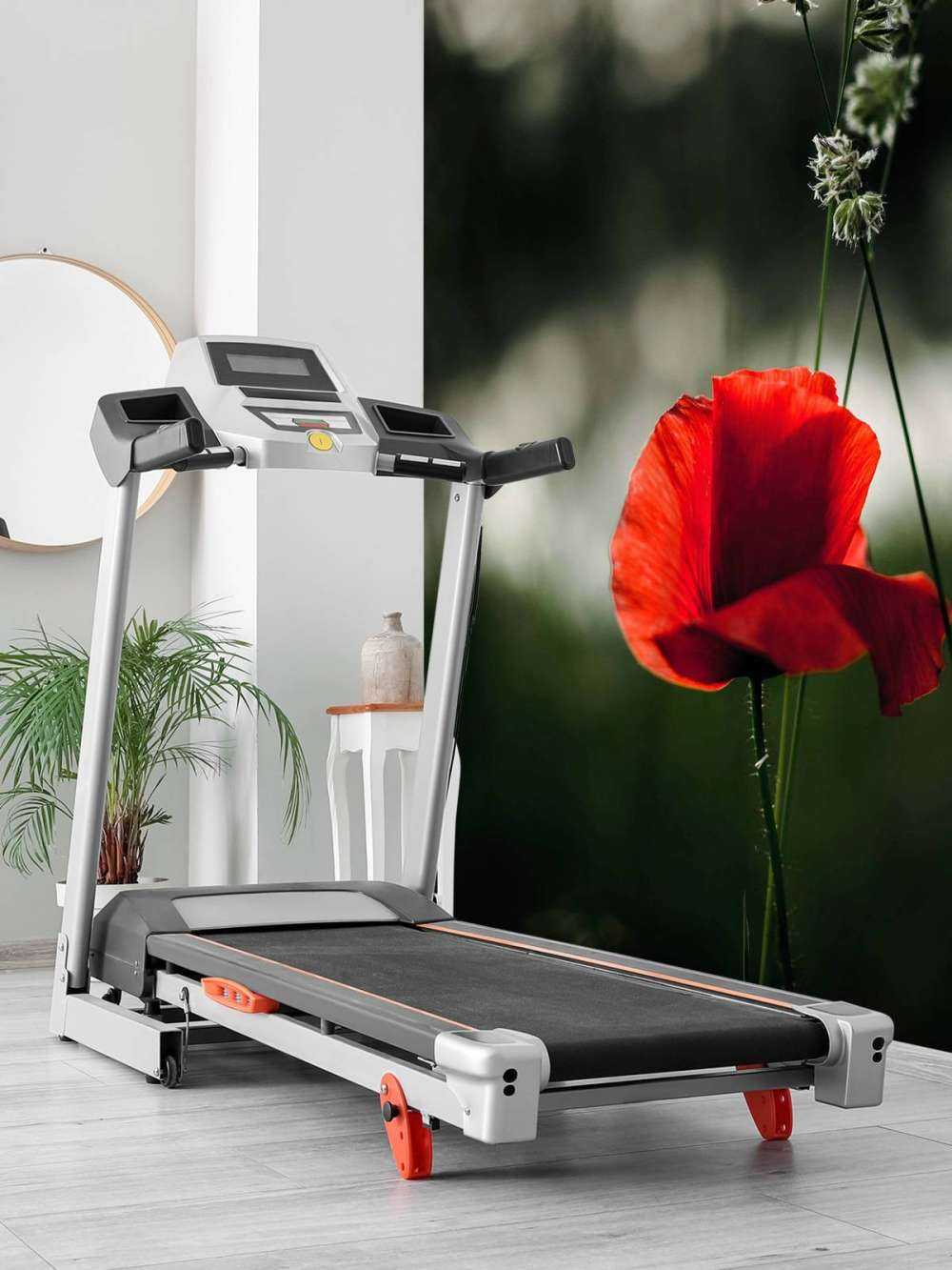 Papavero rosso con erba