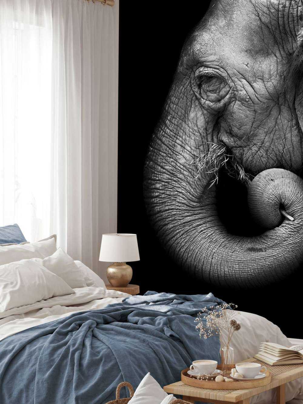 Ritratto di elefante