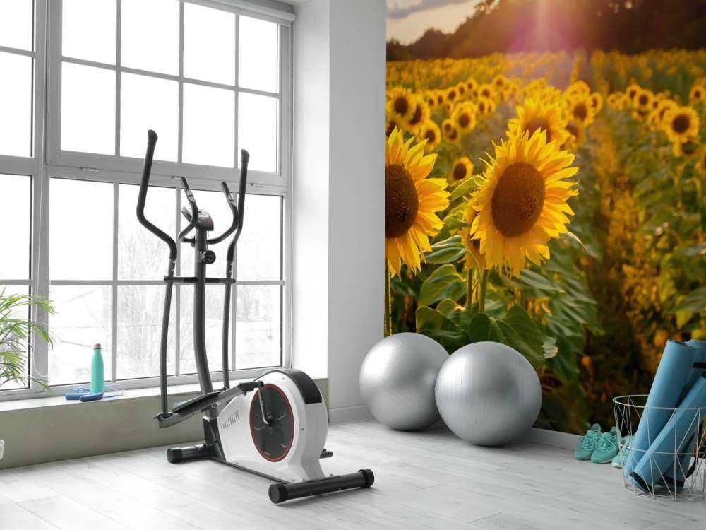 Fattoria dei girasoli