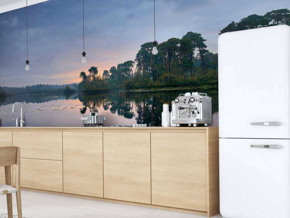 Riflessione nelle foreste all'alba