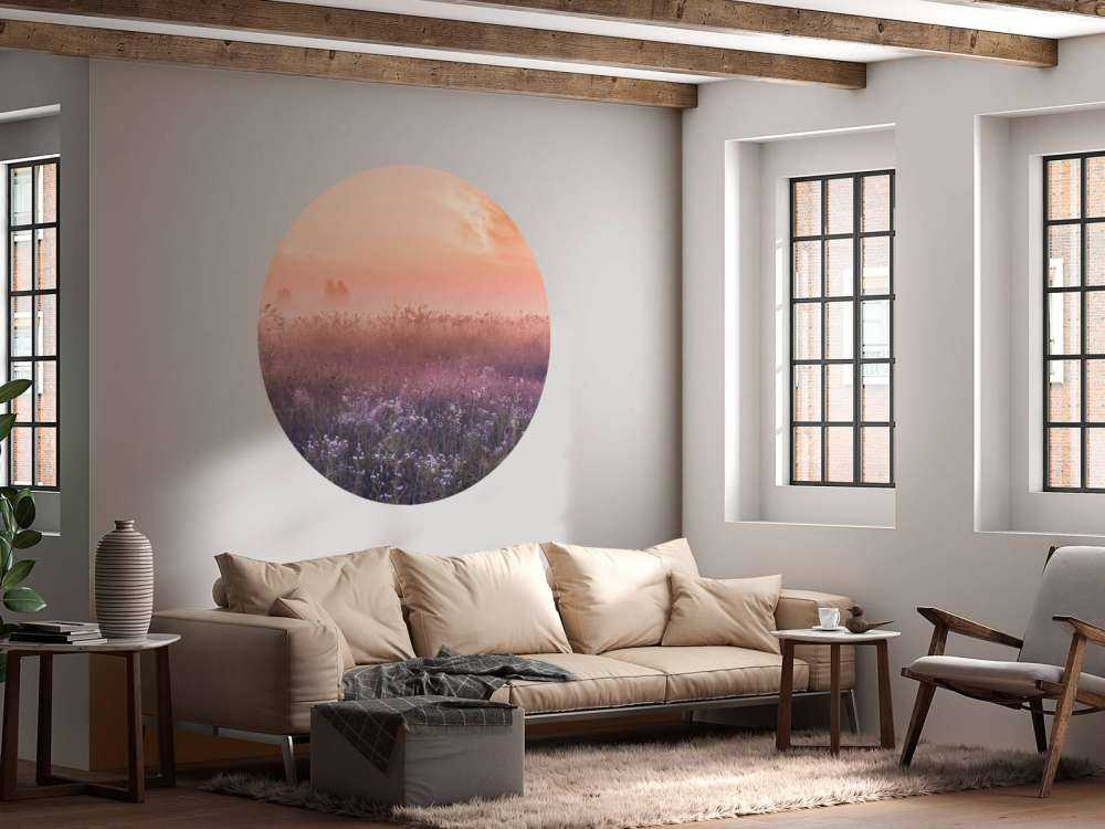 Campo con nebbia mattutina