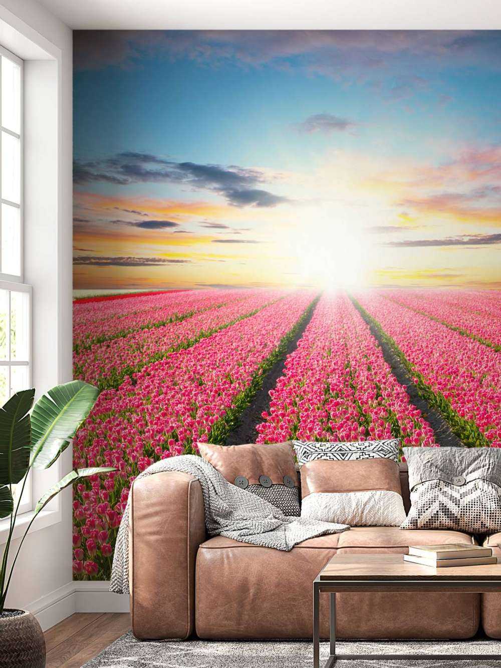 Tulipani con il sole nascente