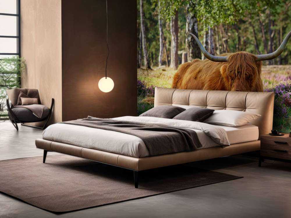 Highlander scozzese a riposo