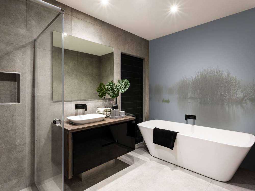 Nebbia nella riserva naturale